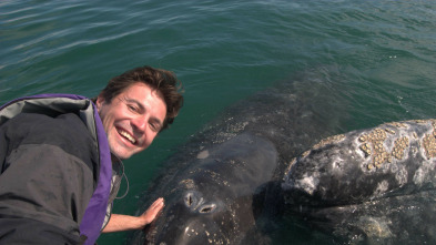 Imagen de Un viaje increíble con Steve Leonard - 3