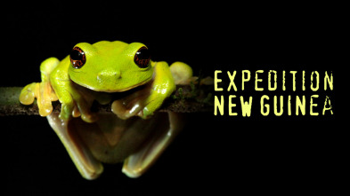 Imagen de Expedición Nueva Guinea: Ep.2 - 3