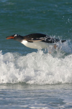 Imagen de Recorriendo el mundo  - 2