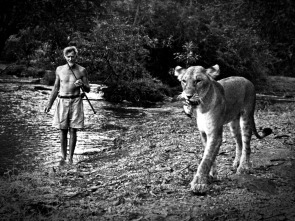 Imagen de Elsa. La leona que cambió el mundo - 1