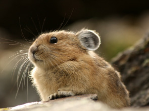 Imagen de Recorriendo el mundo  - 1