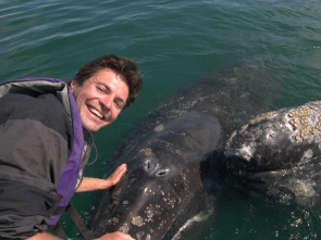 Imagen de Un viaje increíble con Steve Leonard - 1