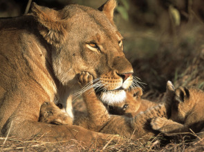 Imagen de Diario de los grandes...: Cheza y Sala - 1