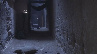 Imagen de Ciudades perdidas de...: La capital faraónica desaparecida - 3