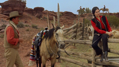 Imagen de Los comancheros - 3