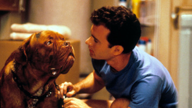 Imagen de Socios y sabuesos - 3