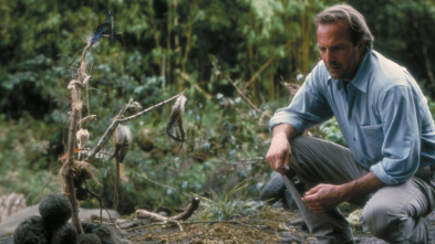 Imagen de Dragonfly: La sombra de la libélula - 4