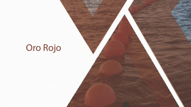 Imagen de Oro rojo - 3