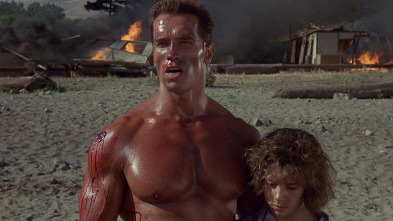 Imagen de Comando - 4