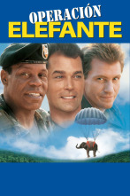 Imagen de Operación elefante - 3