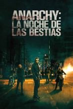 Imagen de The Purge: Anarchy - 2