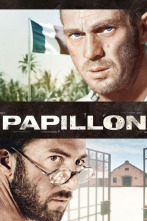 Imagen de Papillon - 2