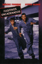 Imagen de Fugitivos encadenados - 2