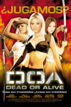 Imagen de DOA: Dead or Alive - 3
