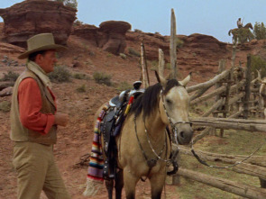 Imagen de Los comancheros - 1