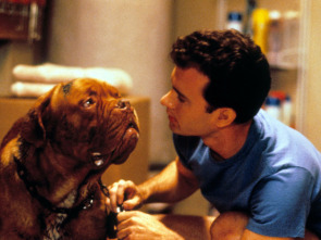 Imagen de Socios y sabuesos - 1