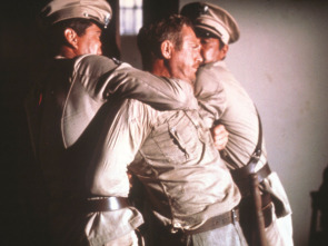 Imagen de Papillon - 1
