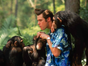 Ace Ventura: Operación África