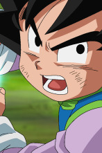 Imagen de Dragon Ball Super - 2