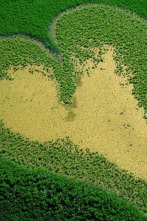 Vist des del cel: La Terra no pertany a l'home sinó que és l'home qui pertany a la Terra (1ª Part)