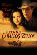 Imagen de Tots els cavalls bonics - 2