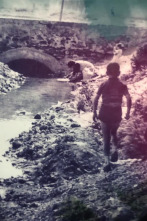 Imagen de Va passar aquí: Episodi 203 - 2