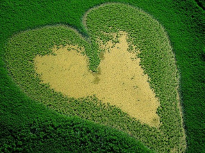 Vist des del cel: La Terra no pertany a l'home sinó que és l'home qui pertany a la Terra (1ª Part)