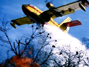 Imagen de Pont de Varsòvia - 1