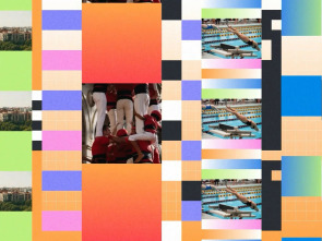 Imagen de Efecte mosaic (T1): Episodi 313 - 1