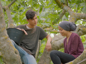 Imagen de Entre figueres - 1