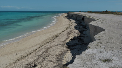 Construyendo una isla...: La recta final