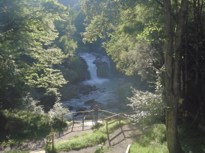 Enclaves: Carbajales de Alba, Lagunas de Villafáfila y Pereruela