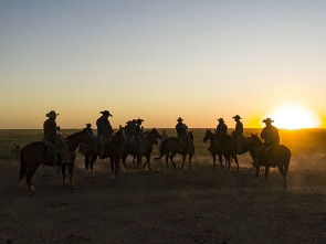 Descubriendo Texas: el...: Cowboys y delfines