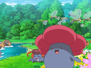 Imagen de Viatges Pokémon - 1