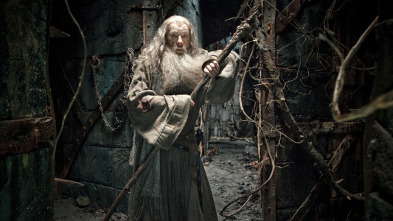Imagen de El hobbit: La desolación de Smaug - 4