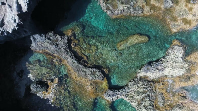 Imagen de Viajeros Cuatro: México - 4
