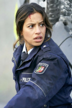 Imagen de Alerta Cobra - 2