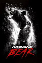 Imagen de Oso vicioso - 3