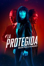 Imagen de La protegida - 12
