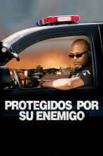 Imagen de Protegidos por su enemigo - 4