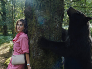Imagen de Oso vicioso - 2