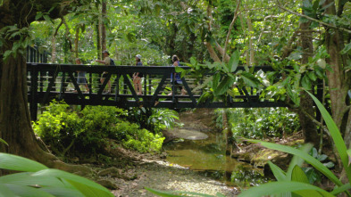 Imagen de Trens singulars: El Japó - 3