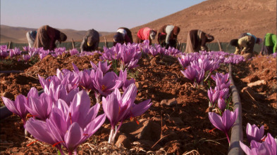 Imagen de Trens singulars: Maroc - 3