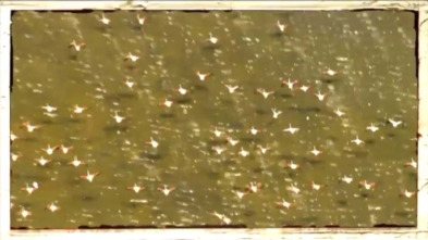 Imagen de Riu avall: Cardener - 3