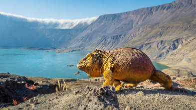 Imagen de Un planeta perfecto: Volcans - 3