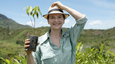 Imagen de La fàbrica de les...: Episodi 2 - 3