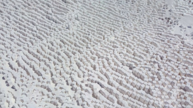 Imagen de Els secrets de les roques: El gres - 3