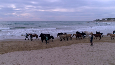 Imagen de Camí de Marina. Un conte sobre la voluntat - 3