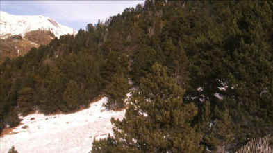 Imagen de Xarxa Natura: Prades - 3