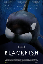 Blackfish